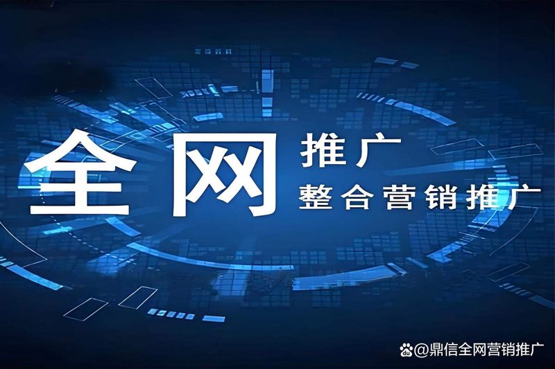 网络推广：新消费时代的营销利器